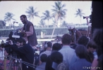 MiamiPopFestival 1968--0031