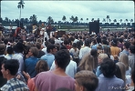 MiamiPopFestival 1968--0074