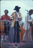 MiamiPopFestival 1968--0079
