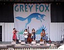 GreyFox 07 18 08 FRobbins-032