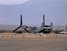 Arizona-Osprey-002