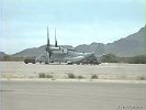 Arizona-Osprey-005