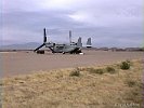 Arizona-Osprey-018